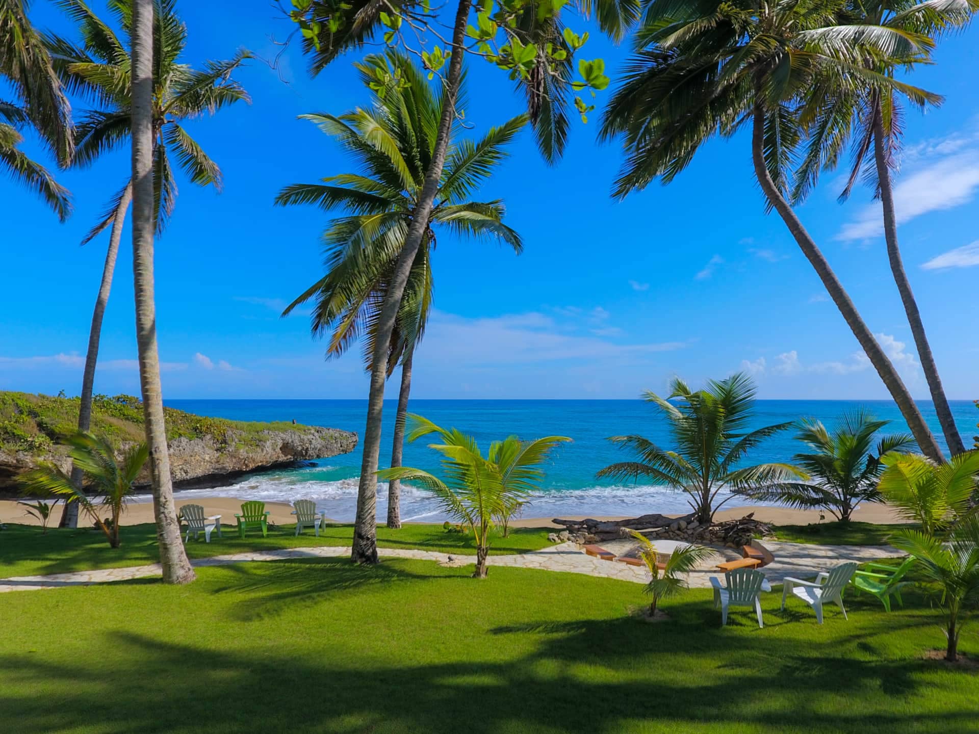Palm trees on the lawn overlooking the turquoise bay
