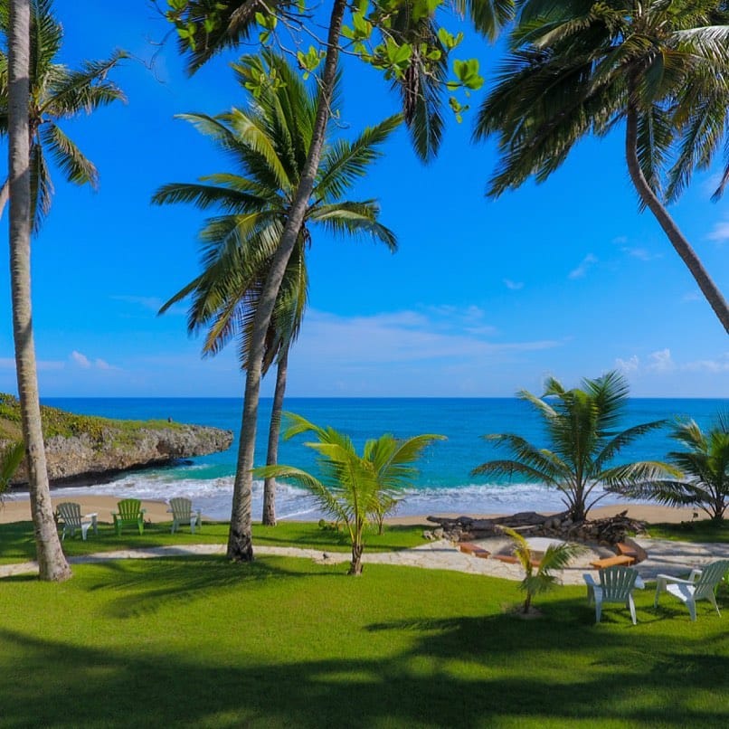 Palm trees and ocean view from the lawn